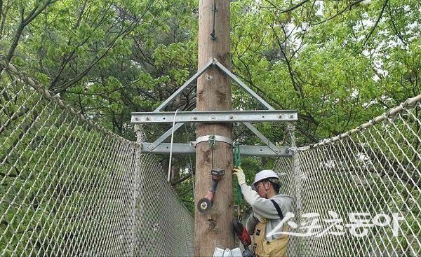 영덕군, 산성 계곡 생태공원 어드벤처 재개장. 사진제공 l 영덕군