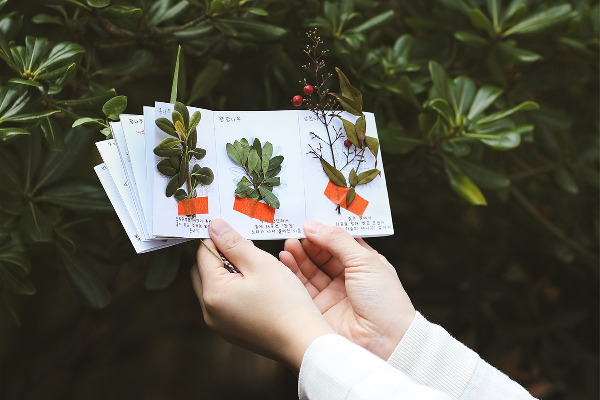 사진제공｜  제주신화월드