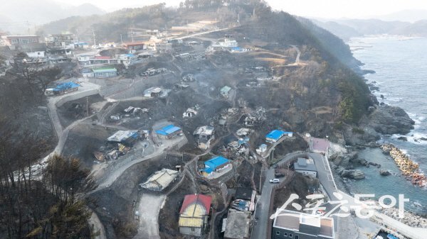 경북 북동부 대형 산불이 영덕 석리 노물리 등 해안마을까지 번져 막대한 피해를 입혔다. 사진제공 ㅣ 영덕군