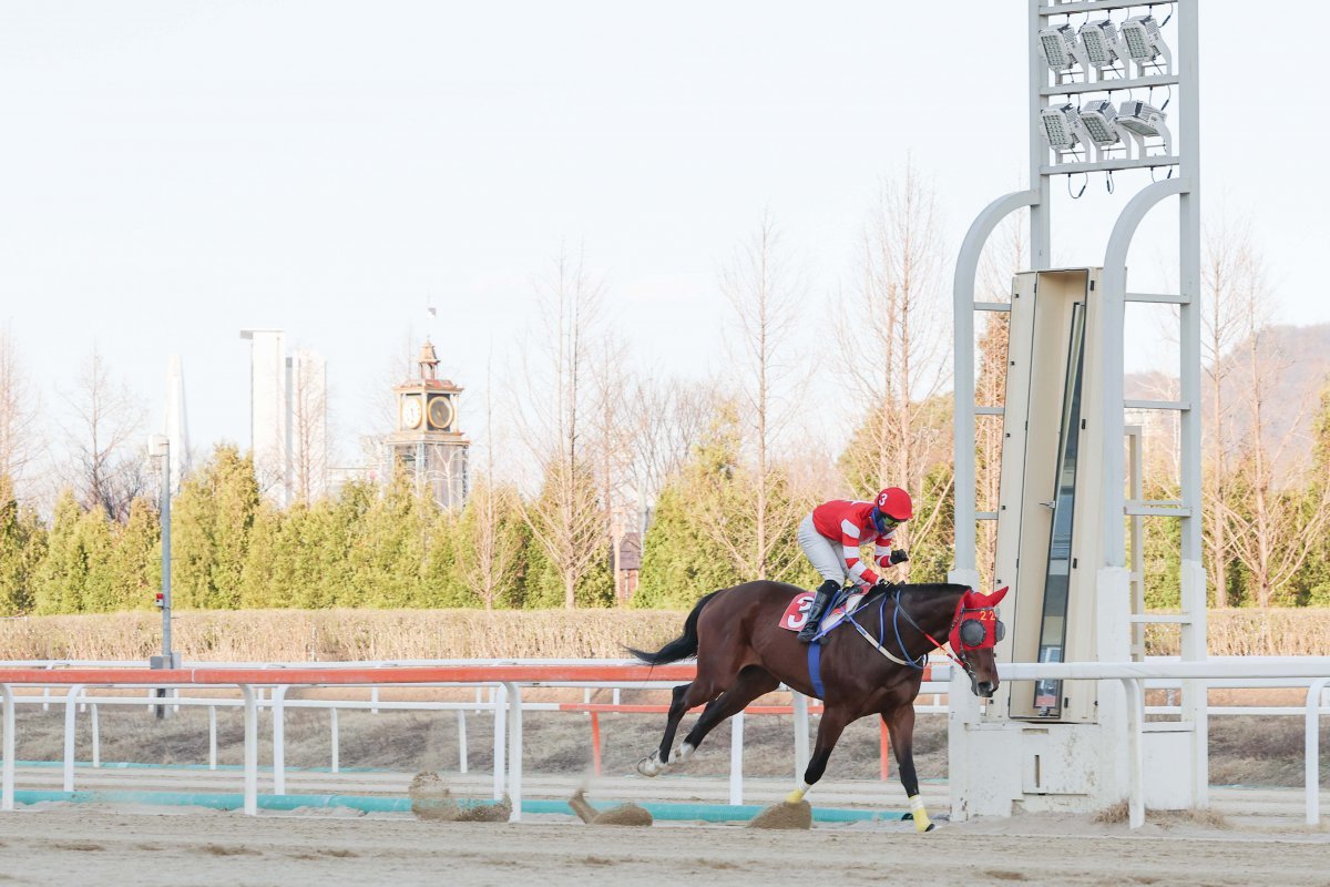 3월29일 렛츠런파크 서울 제9경주에서 문세영 기수가 통산 2000승 대기록을 수립하는 모습     사진제공｜한국마사회