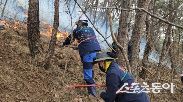 경북안전기동대 대원들이 경북 초대형 산불 진화에서 큰 활약을 펼쳤다. 사진제공 ㅣ 경북도