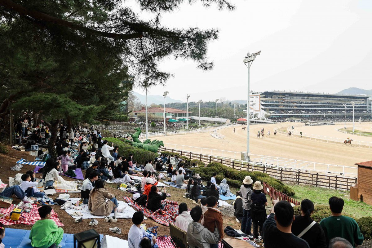 2024년 렛츠런파크 서울벚꽃축제      사진제공｜한국마사회