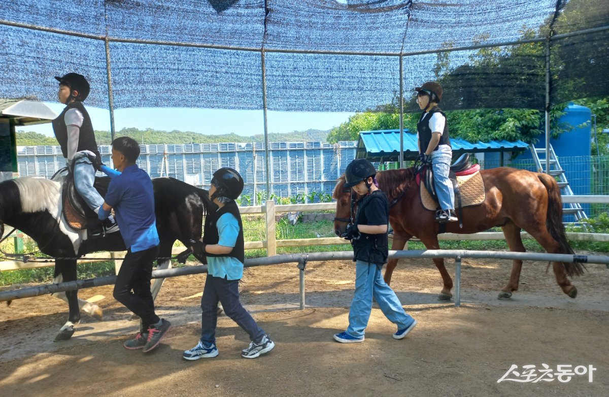 과천시 학생 승마체험 지원사업(강의 모습). 사진제공|과천시