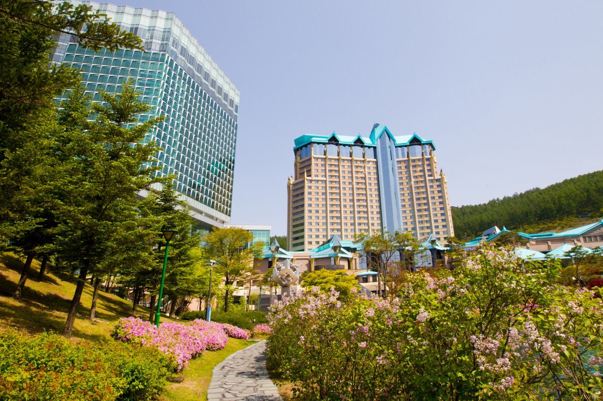 하이원리조트그랜드 호텔 봄 전경           사진제공｜강원랜드