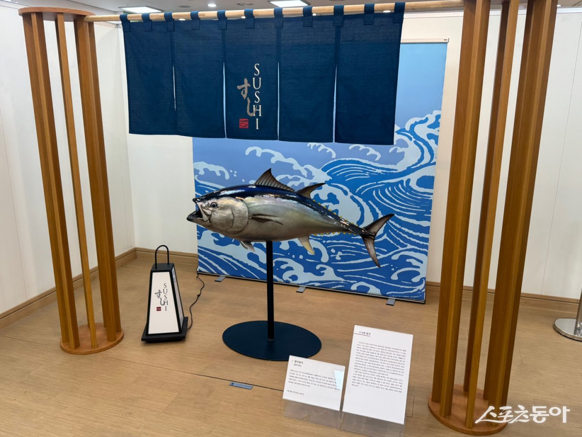 당신이 미처몰랐던 스시의 모든것 . (사진제공=부산한일문화교류협회)