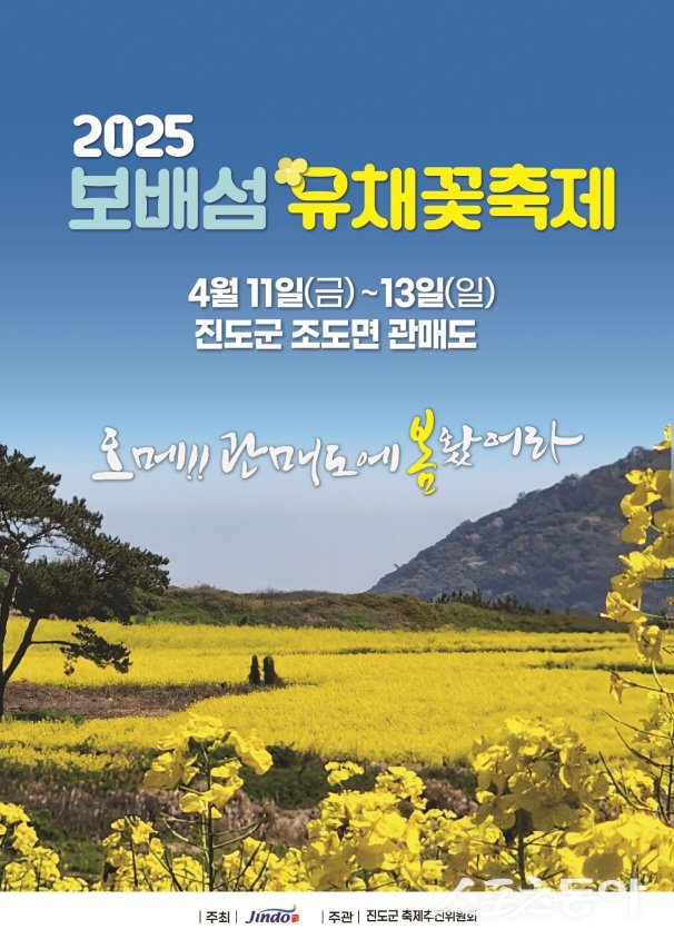 2025 보배섬 유채꽃 축제. 사진제공=진도군