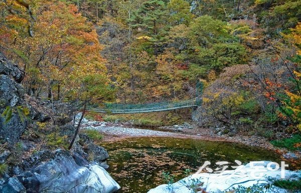 울진군, 구수곡자연휴양림 야영장. 사진제공 l 울진군
