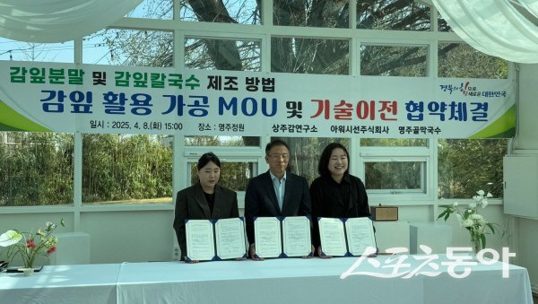 상주감연구소가 감잎 활용 가공 MOU 및 기술이전 협약을 체결하고 있다. 사진제공 ㅣ 경북도