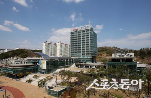 포항시청 전경. 사진제공｜포항시