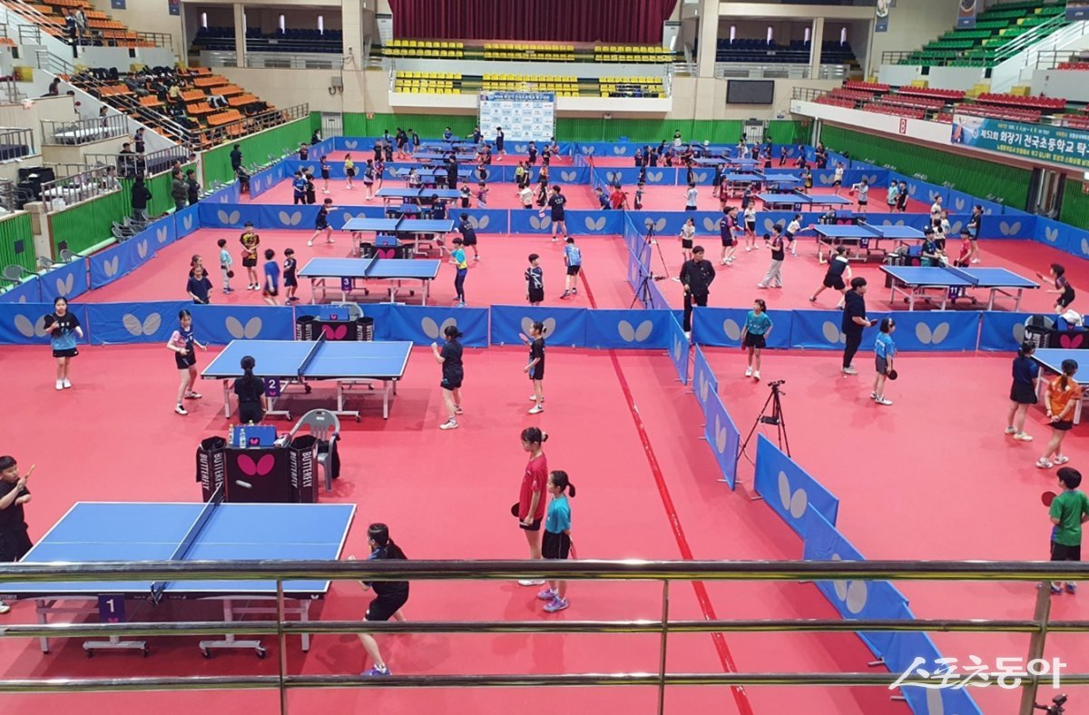 장흥실내체육관에서 열린 ‘제51회 회장기 전국초등학교 탁구대회’. 사진제공=장흥