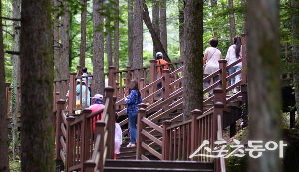성주가야산역사신화공원테마관 데크 모습. 사진제공|성주군