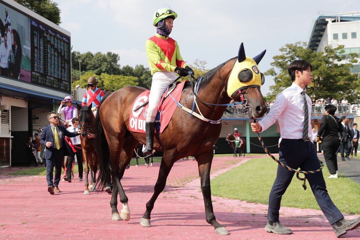 어마어마. 지난해 ‘스프린터 시리즈’에서 꾸준한 성적을 거두어 단거리 최우수마로 선정됐다    사진제공｜한국마사회