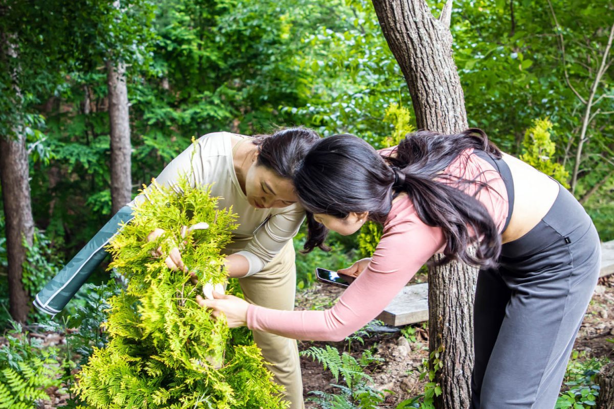 호반호텔앤리조트가 지난해 포레스트 리솜에서 진행한 나무 심기 행사              사진제공｜호반호텔앤리조트
