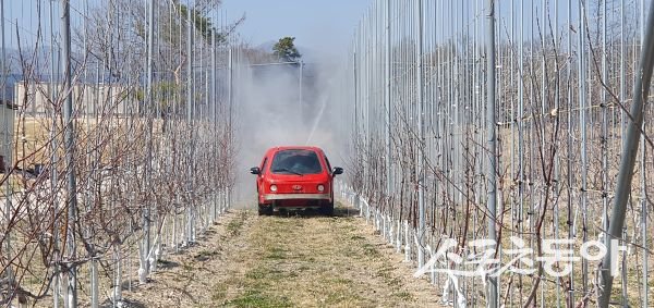 영주시가 과수화상병 방제 약품을 살포하고 있는 모습. 사진제공｜영주시