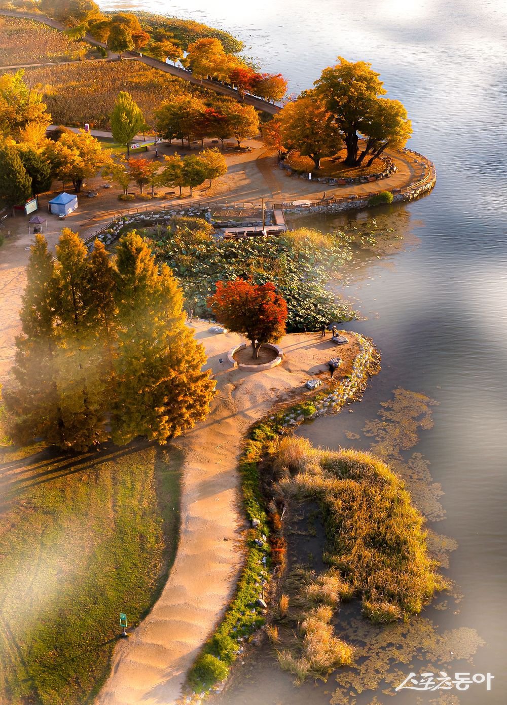 2024 경기도 관광사진 공모전 대상작 ‘가을 스케치 두물머리’ (김흥열 작가)