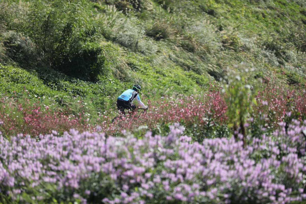 봄꽃이 화사하게 핀 안양천변을 달리는 자전거 라이더. 목동교 부근의 가숭어떼 등 다양한 생태체험도 가능한 곳이다     사진제공｜서울관광재단