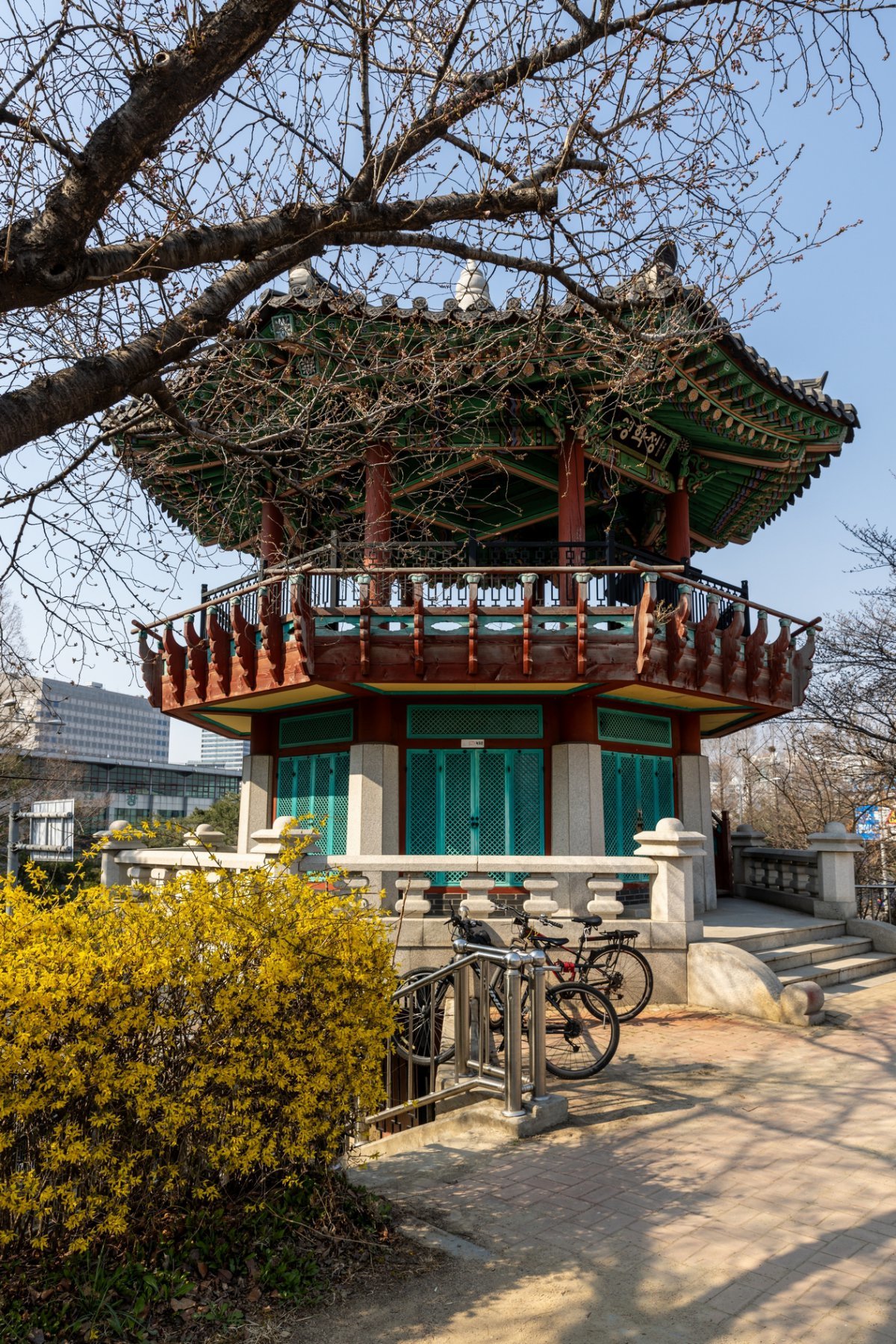 개나리가 피어난 안양천 오목수변공원의 영학정             사진제공｜서울관광재단