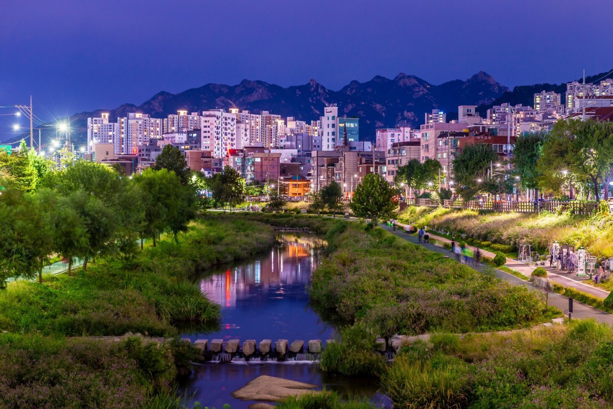 불광천 자전거길의 야경. 벚꽃 터널부터 저녁이면 아름답게 천변을 수놓는 별빛거리와 망원시장의 맛집찾기 등 다양한 재미가 있는 구간이다             사진제공｜서울관광재단