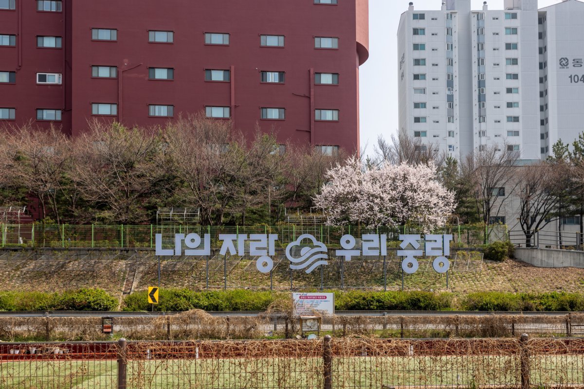 중랑천 자전거길. 중랑천의 맑은 물길과 다양한 봄꽃이 어우러진 길을 따라 달리는 9km 구간이다        사진제공｜서울관광재단