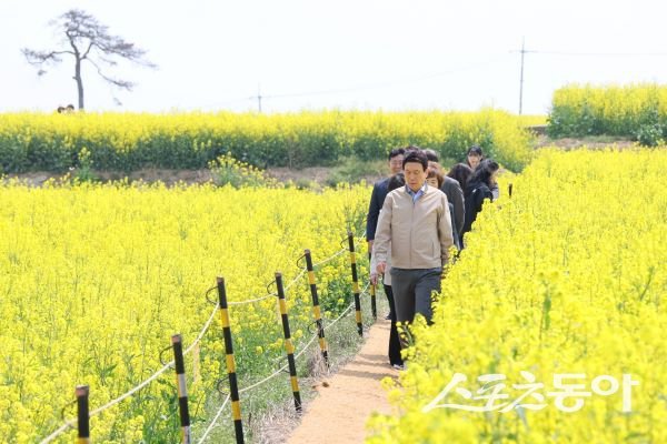 지난 10일 유채꽃 경관단지를 찾은 이강덕 포항시장의 모습. 사진제공｜포항시