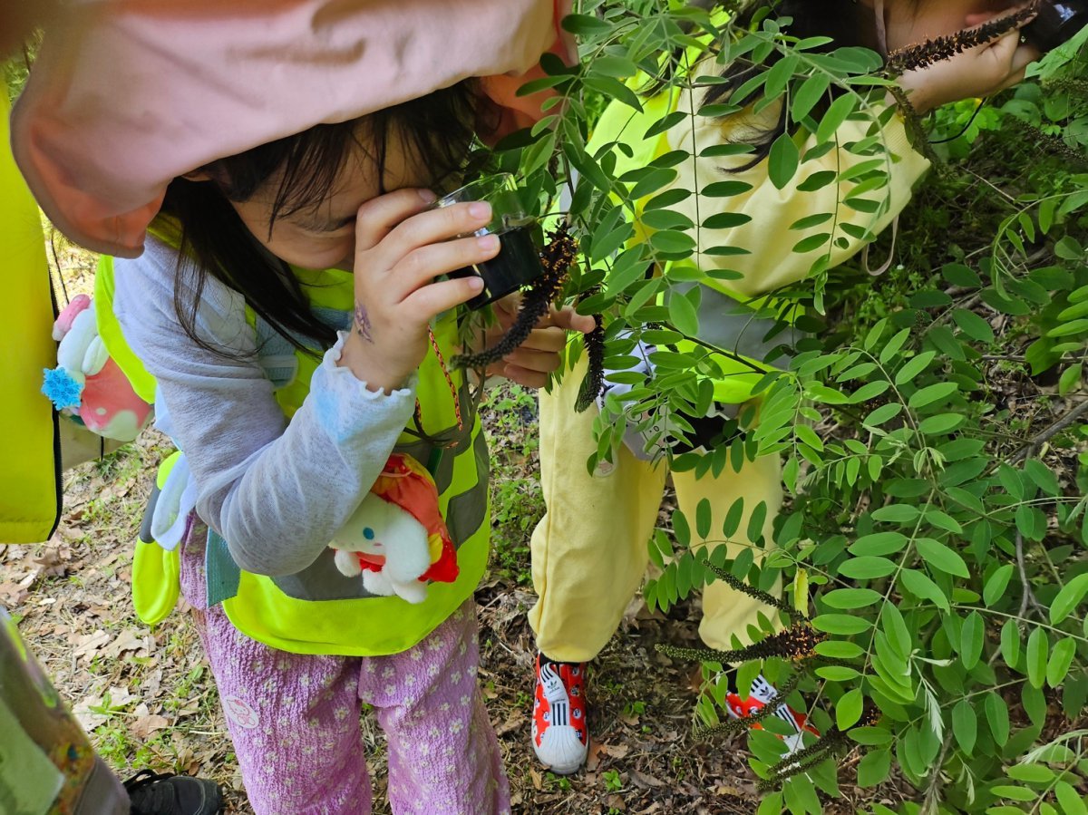 미사경정공원 숲 체험 교실에 참가한 어린이가 식물을 관찰하고 있다 사진제공|국민체육진흥공단