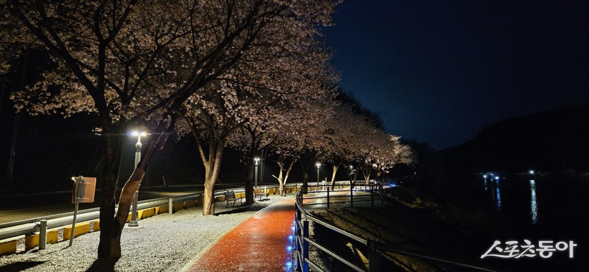 음성군, 무극저수지 자전거도로 쉼터에 경관조명 설치 모습. 사진제공｜음성군