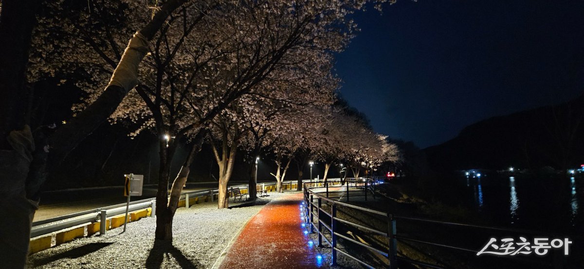 음성군, 무극저수지 자전거도로 쉼터에 경관조명 설치 모습. 사진제공｜음성군