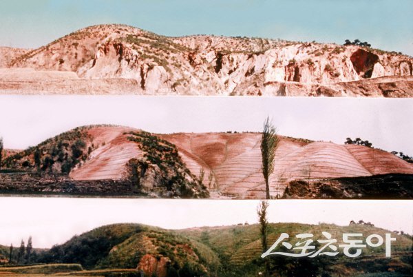 한국 산림녹화기록물 대표 이미지(경북 포항 영일지구). 사진제공 ㅣ 경북도