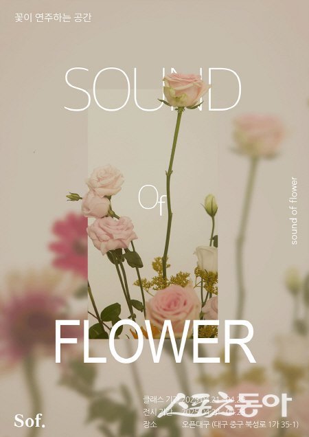 대구시 도심 속 근대건축물 활용 기획프로그램 꽃의 소리 홍보믈. 사진제공 ㅣ 대구시