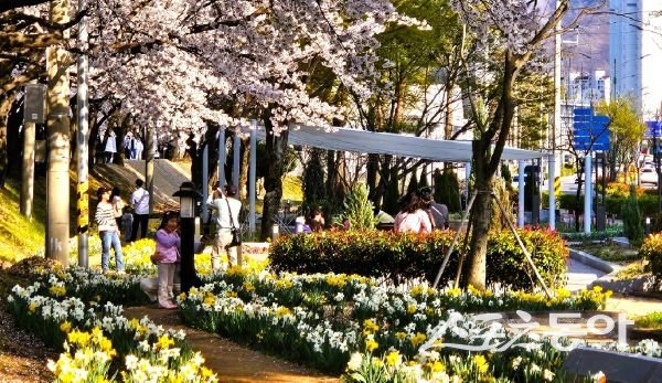 상주시 ‘포시즌가든(Four Seasons Garden)’에서 시민들이 방문해 즐거워하고 있는 모습. 사진제공｜상주시