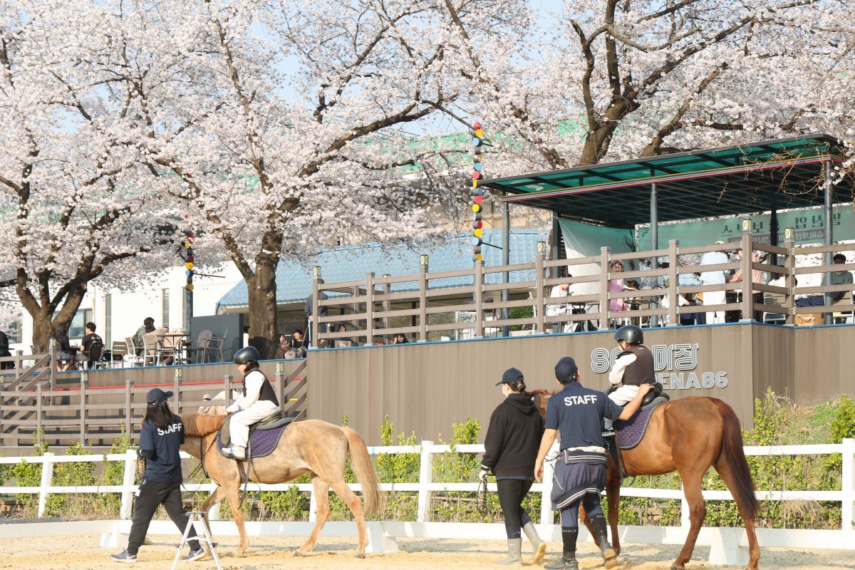 4월11일 서울경마공원 벚꽃축제에서 진행한 도심승마체험     사진제공｜한국마사회