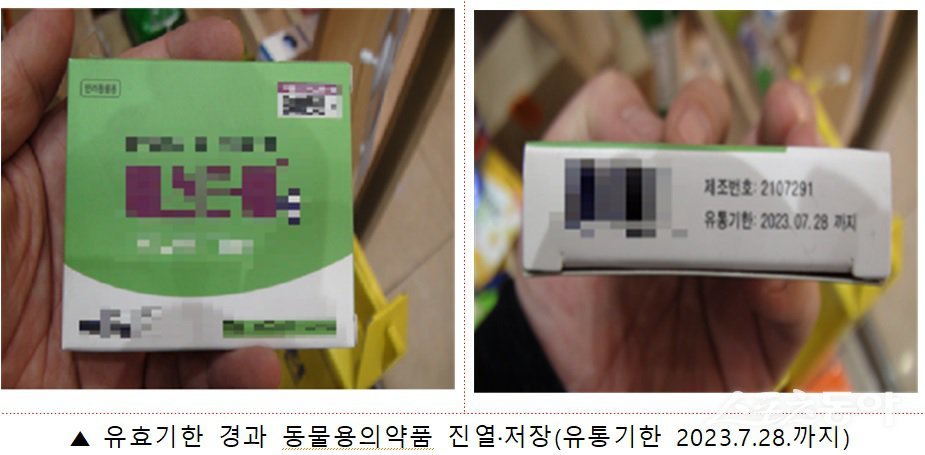 (사진제공=부산시)