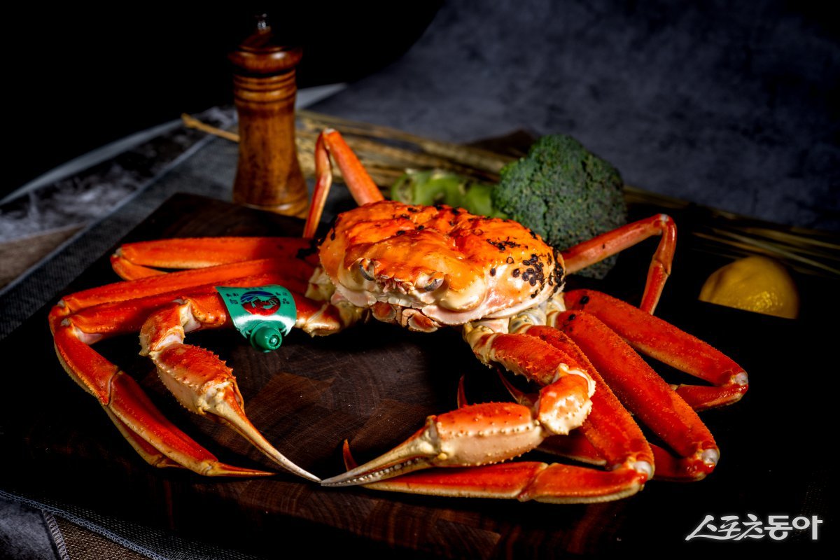 영덕군, 대한민국 대표브랜드 대상 12회 수상. 사진제공 l 영덕군