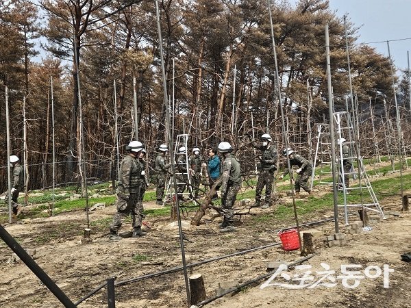 영덕군, 제50사단 영덕대대 산불 피해 농가 일손 돕기 나서. 사진제공 l 영덕군