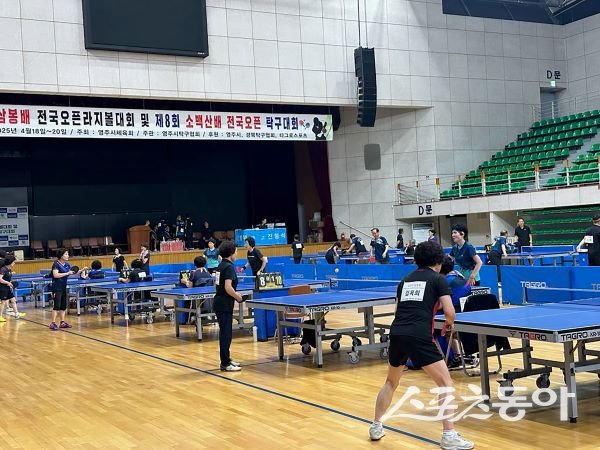 ‘2025 삼봉배 경북오픈라지볼대회 및 소백산배 전국오픈 탁구대회’를 진행하고 있는 모습. 사진제공|영주시