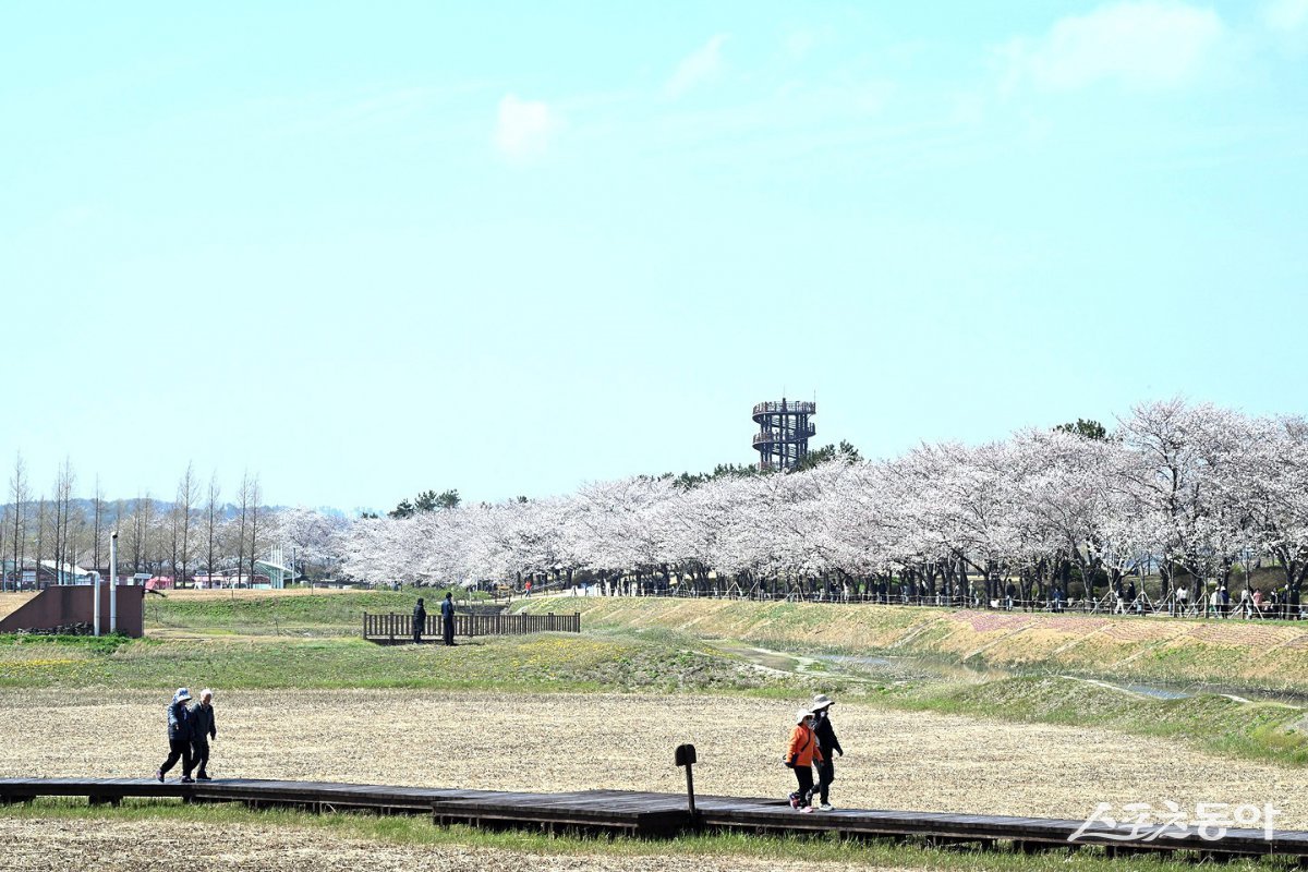 시흥시 갯골생태공원 전경. 사진제공|시흥시