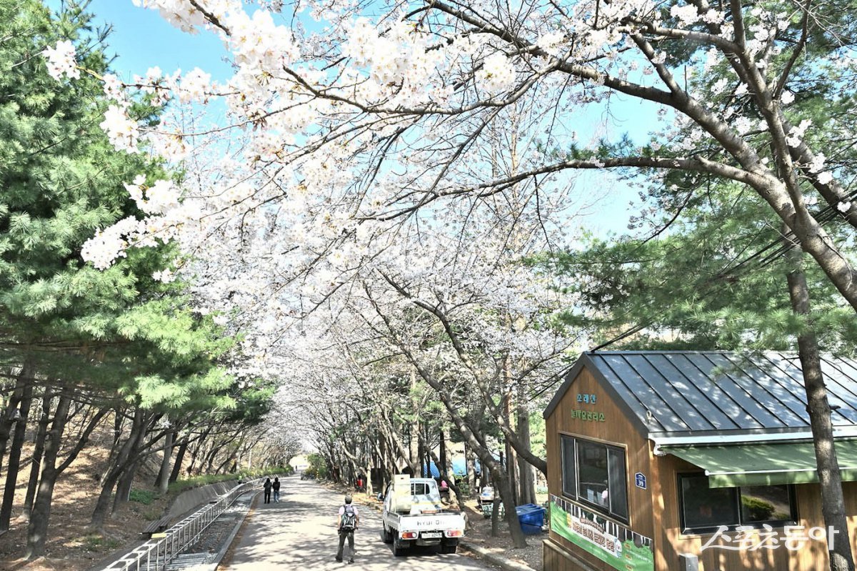 시흥시 소래산 전경. 사진제공|시흥시