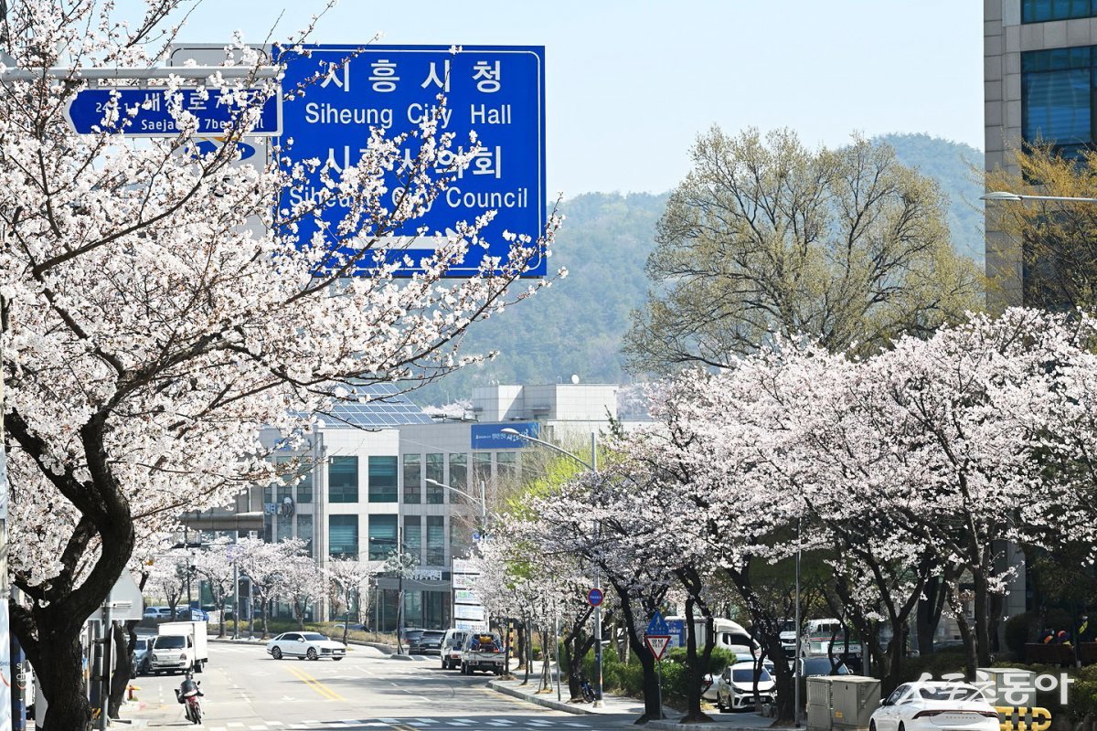 시흥시청로. 사진제공|시흥시