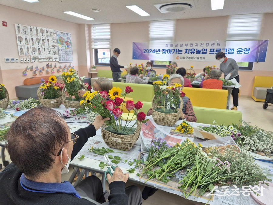 강화군, 치매 어르신 대상으로 치유농업 프로그램을 진행한다. 사진제공|강화군청
