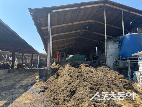 안동시가 대형산불로 막대한 피해를 입은 지역 일대에서 화재 폐기물을 처리하고 있는 모습. 사진제공｜안동시