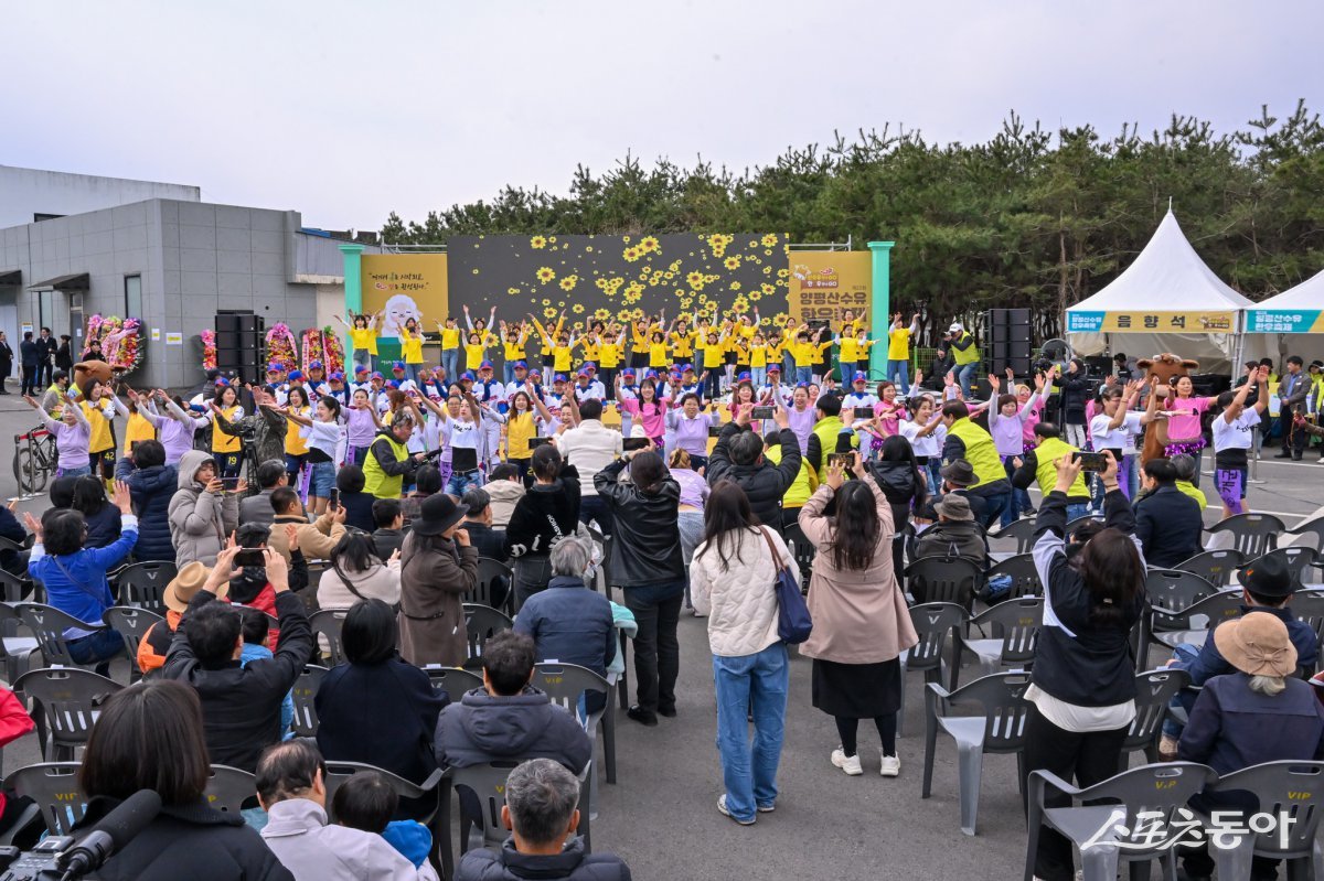 지난 2025년 3월 29일 개군 산수유 축제 모습. 사진제공｜양평군
