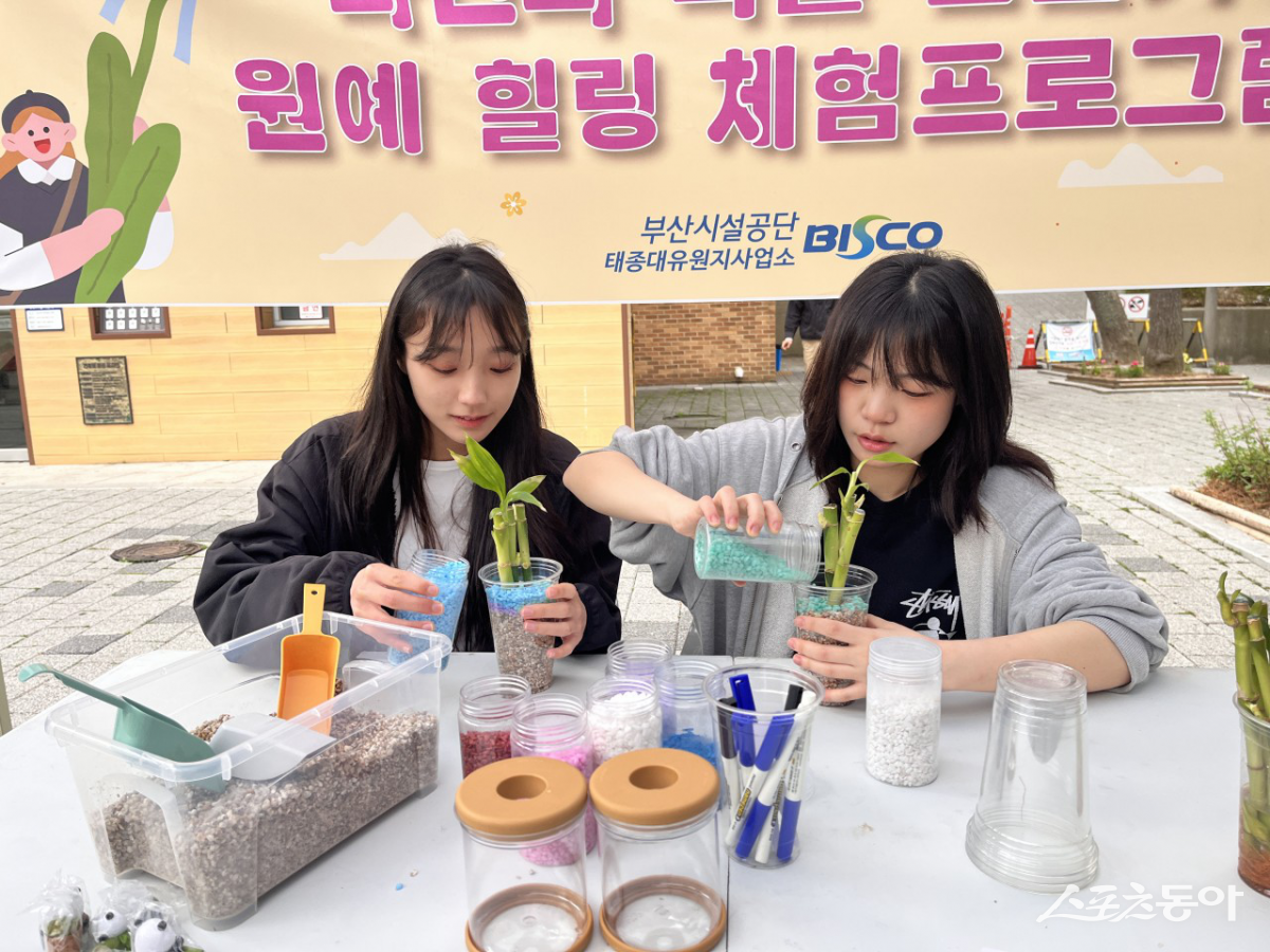 λü,   Ĺ   ü α׷ 