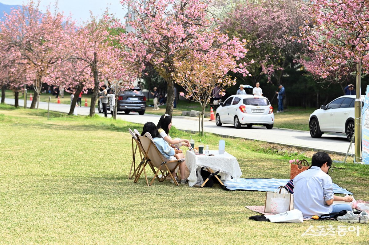 하남시 미사경정공원·호수공원, 겹벚꽃과 튤립으로 물든 도심 속 봄 명소 전경. 사진제공|하남시