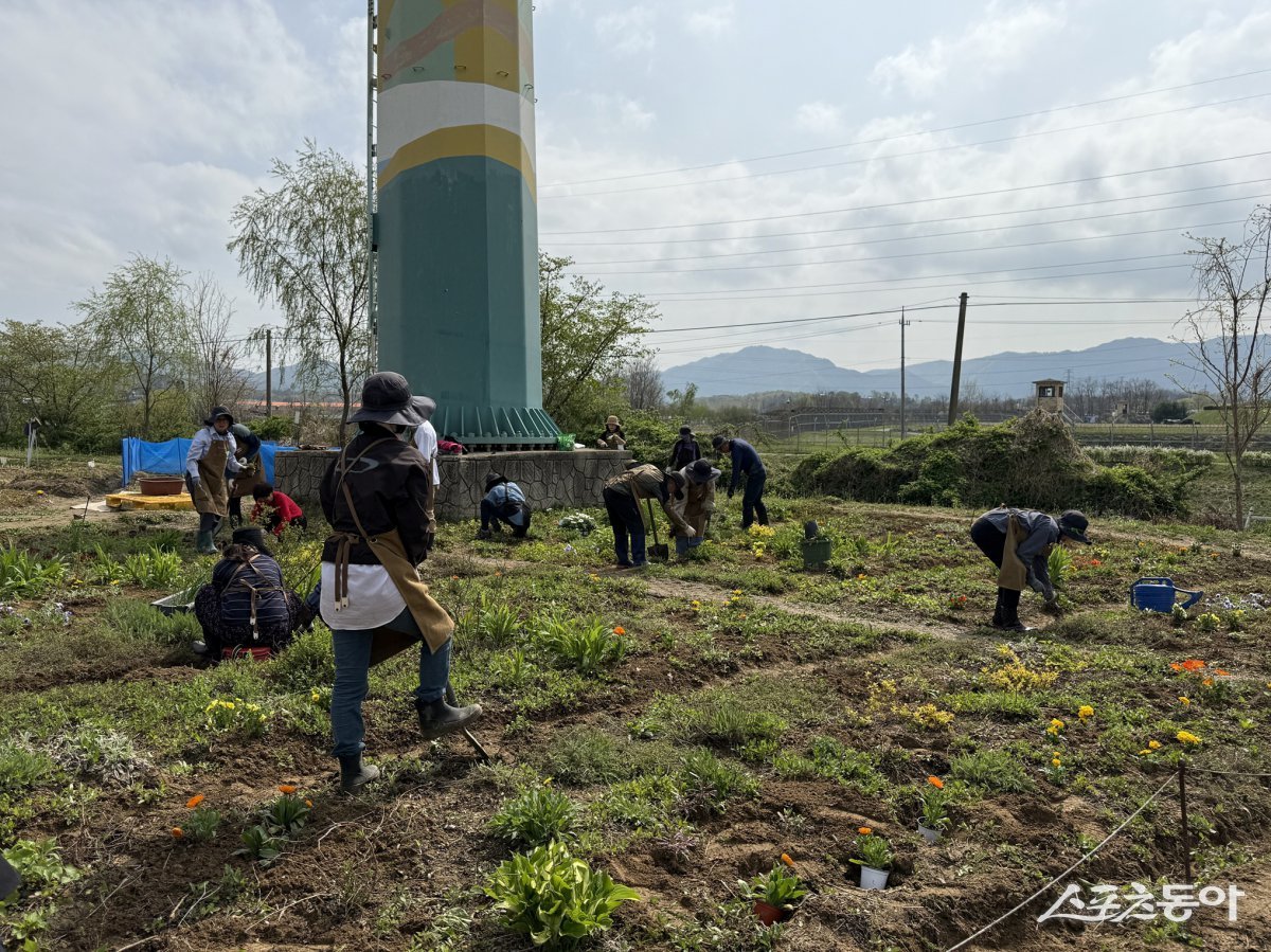 다산 도시텃밭. 사진제공ㅣ남양주시