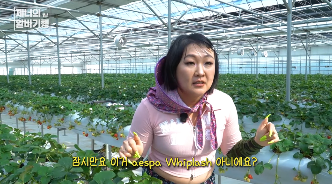 핫이슈지 유튜브 채널 캡처