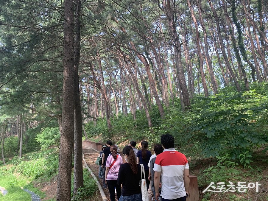 강화군, 마니산 치유의 숲 웰니스 프로그램을 운영한다.  사진제공｜강화군청