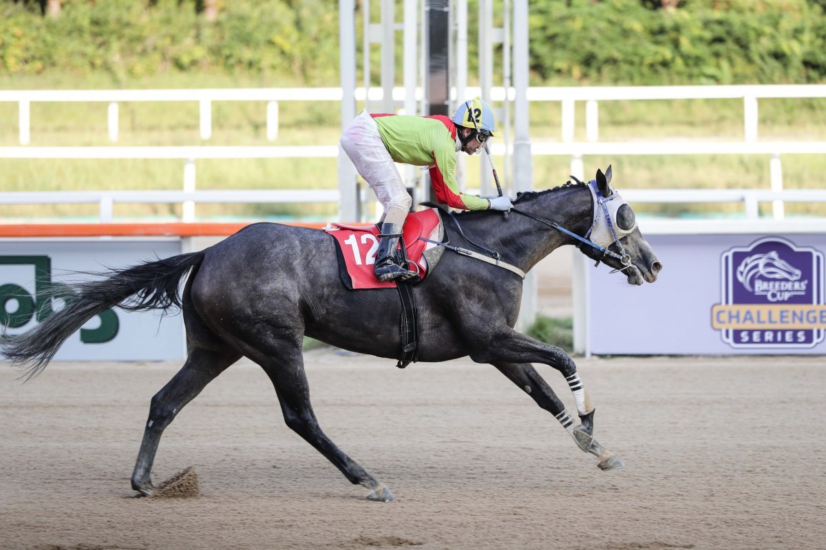 퀸즈투어 S/S 시리즈 두번째 경주인 ‘뚝섬배’에서 지난해 우승에 이어  2연패를 노리는 즐거운여정의 질주 모습   사진제공｜국민체육진흥공단