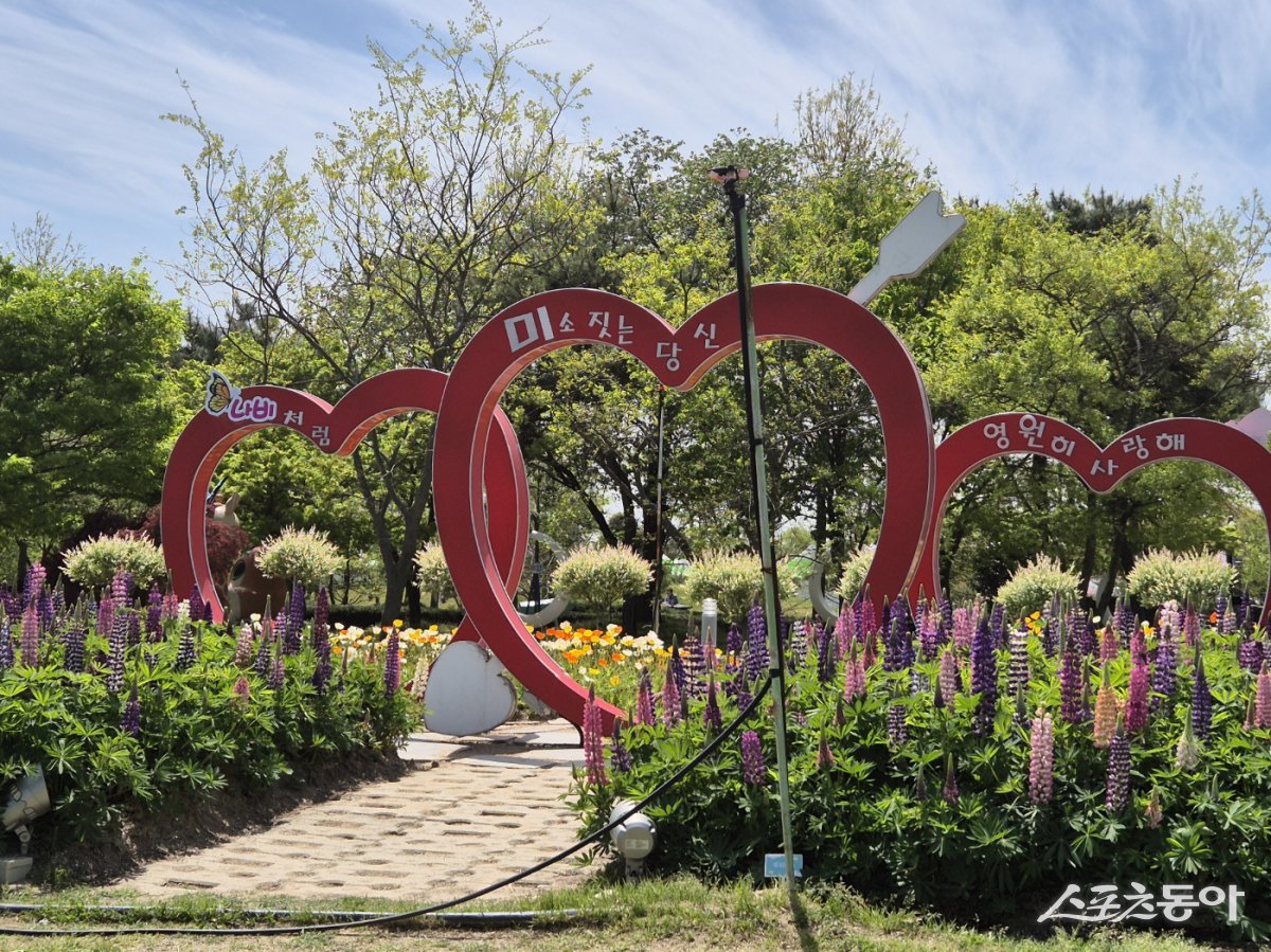 25일 제27회 함평 나비대축제 입구. 사진제공=송재명 기자