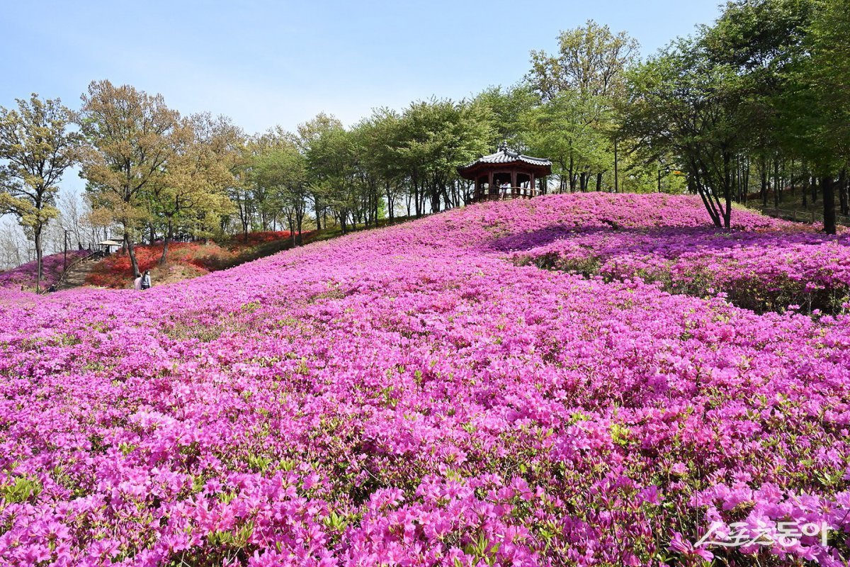 시흥시 야경 맛집 시흥시 은계호수공원 전경. 사진제공|시흥시