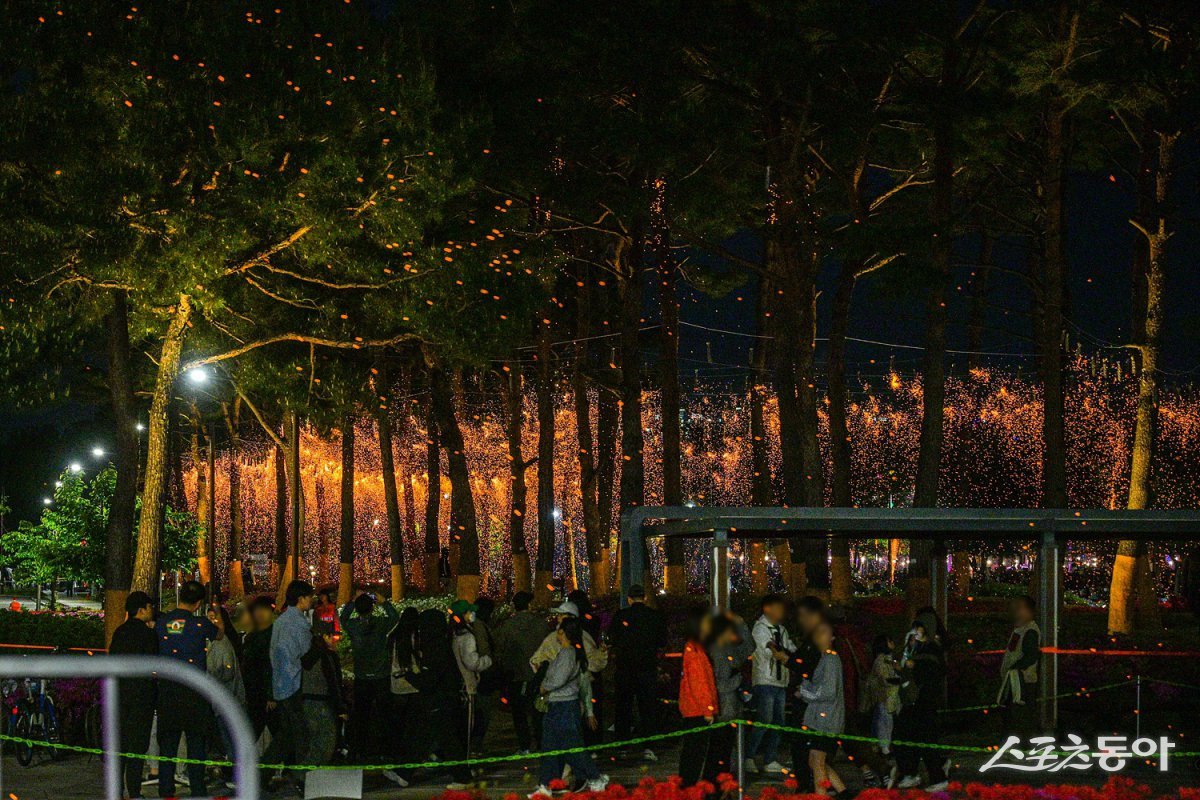 지난 26일 세종중앙·호수공원 일원에서 펼쳐진 ‘2025 세종낙화축제’ 전경. 사진제공|세종시